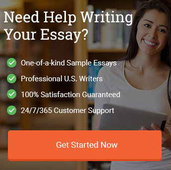 order custom essay example